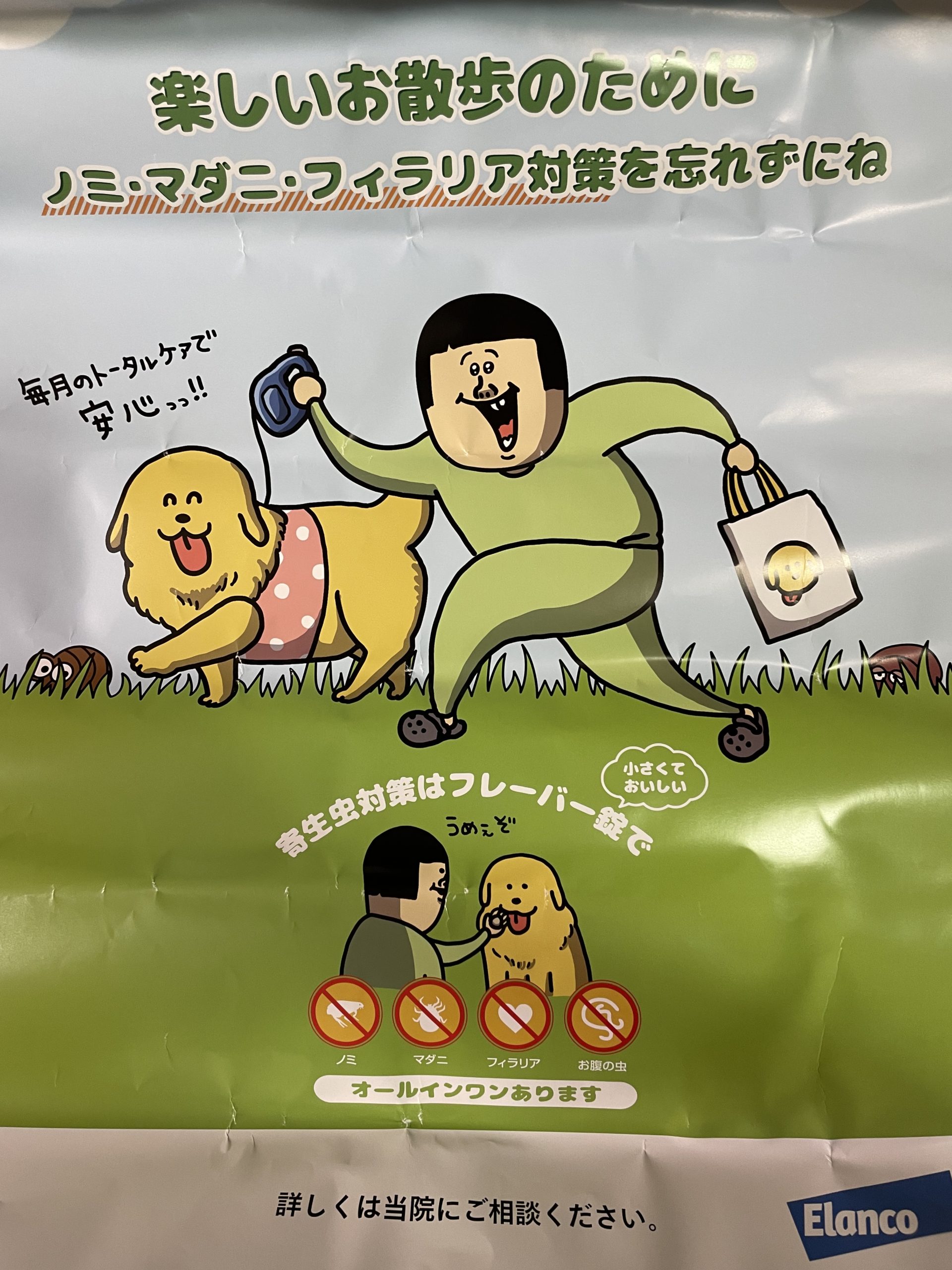 推し活！(まめきちまめこ) - うの動物病院｜東近江市｜犬・猫 