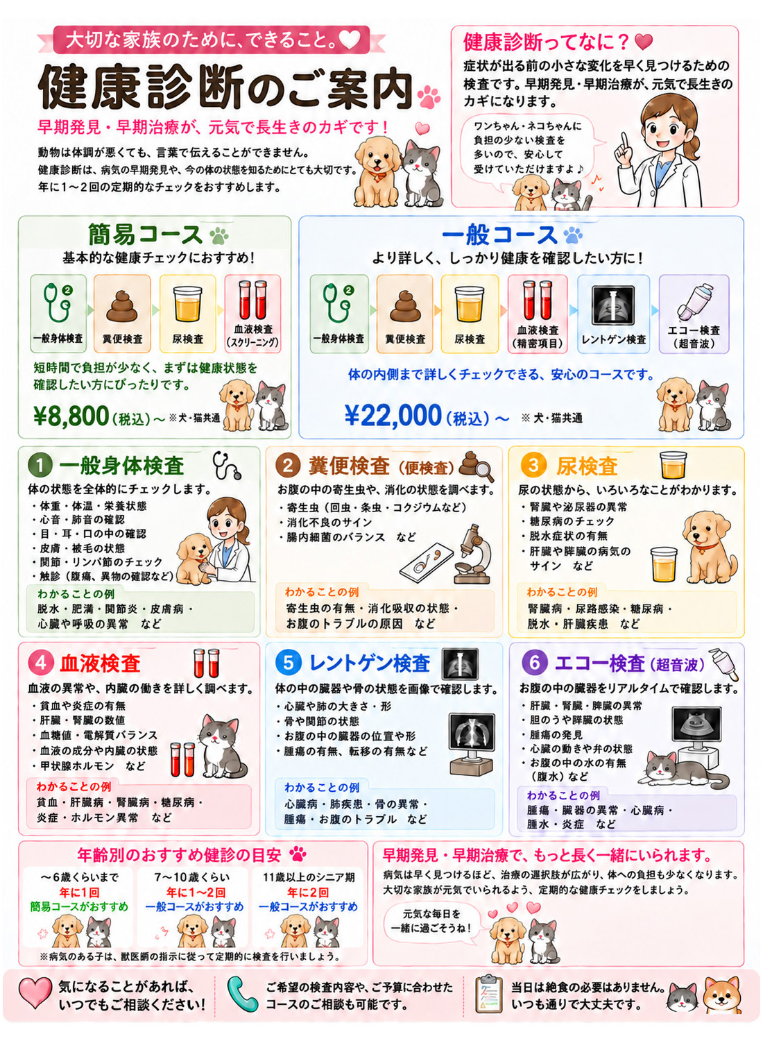 うの動物病院健康の診断パックご説明